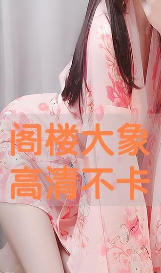 阁楼大象在线观看  第3张